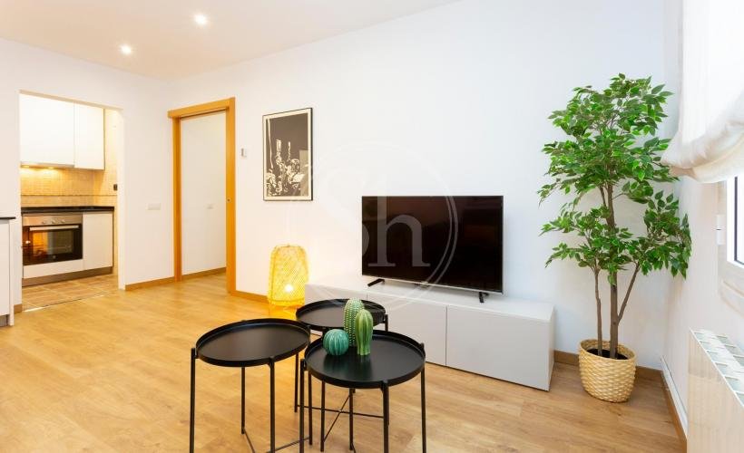 apartamentos de day apartment para alquiler para empresas en Barcelona Sant Martí