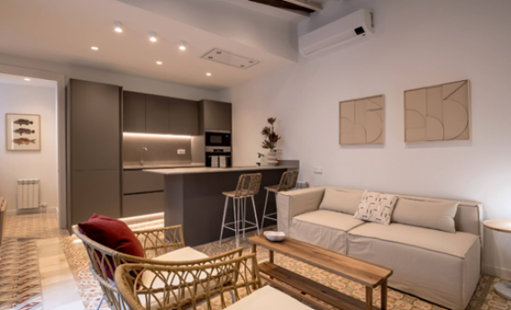 apartamentos de day apartment para alquiler para empresas en Barcelona El Born