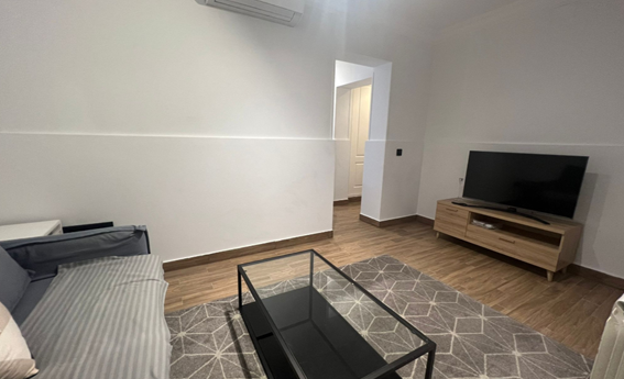 apartamentos de day apartment para alquiler para empresas en Madrid La Latina